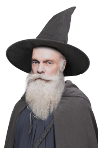 Gandalf Hat for Adult